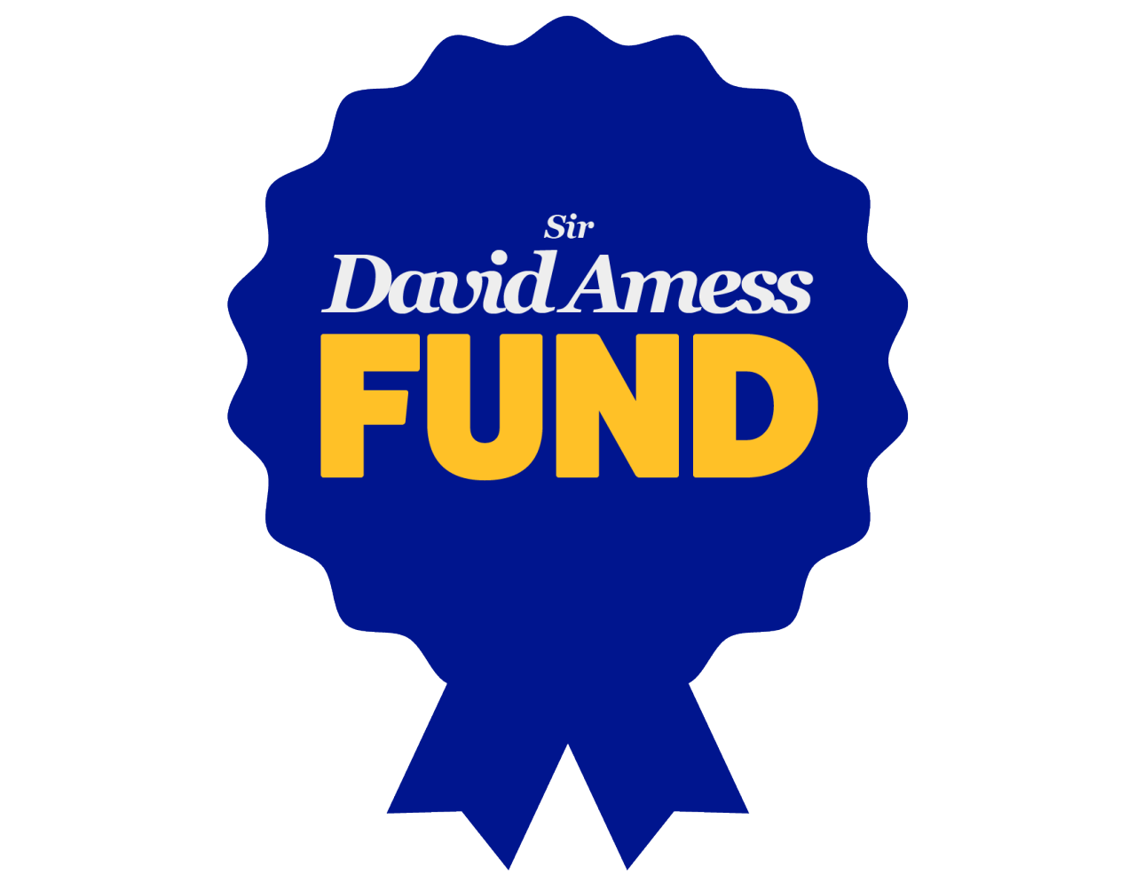 The Sir David Amess Fund